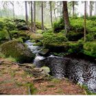 Auf dem Main-Wanderweg