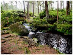 Auf dem Main-Wanderweg