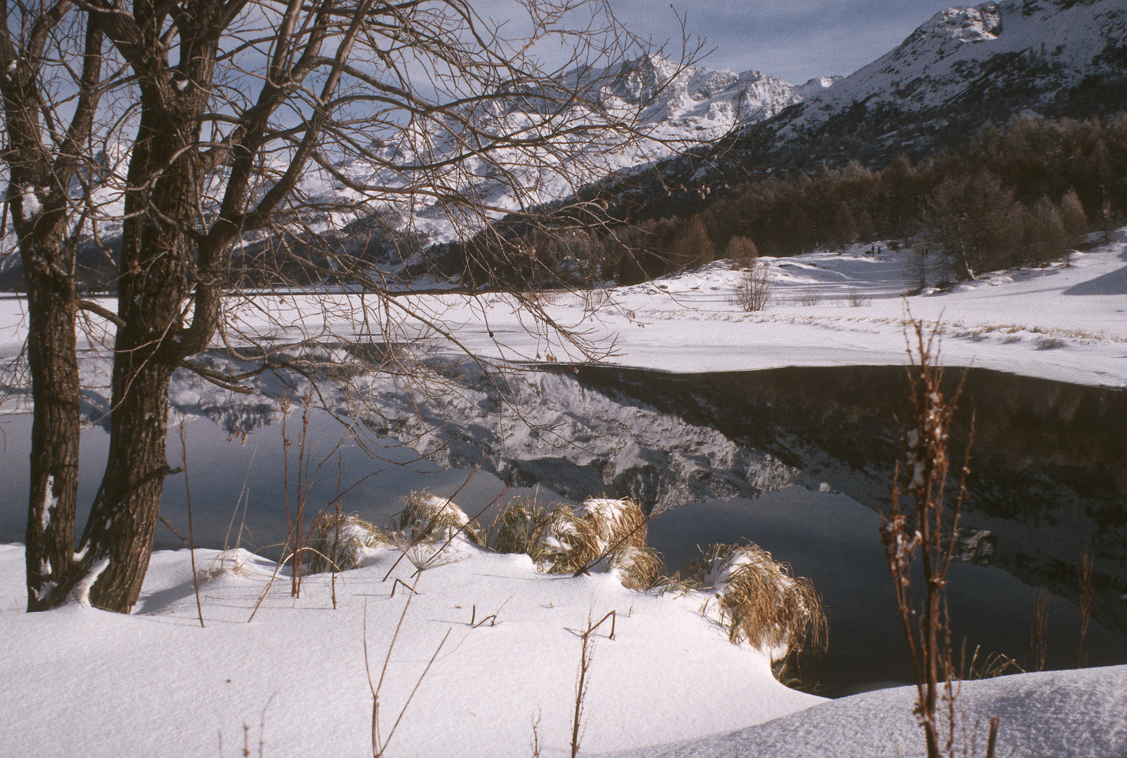 auf dem Malojapass (Neujahr 1995)