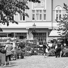 Auf dem Markt