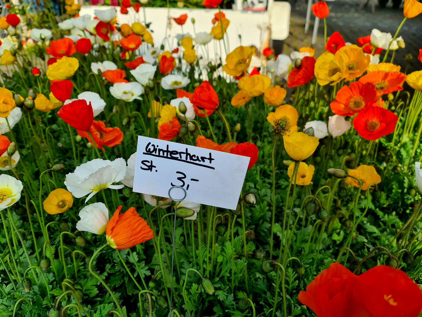 Auf dem Markt