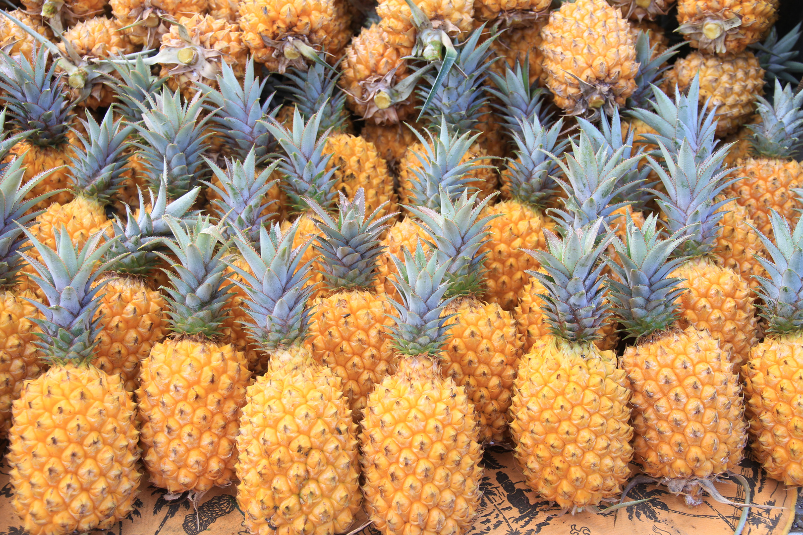 auf dem Markt: Ananas...