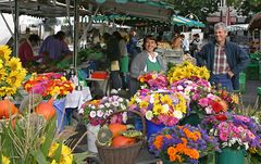 Auf dem Markt