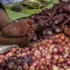 auf dem Markt in Kalaw (© Buelipix)