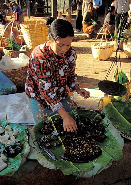 Auf dem Markt in Khaung Daing - Teil 2