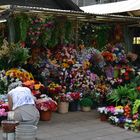 Auf dem Markt in Portugal