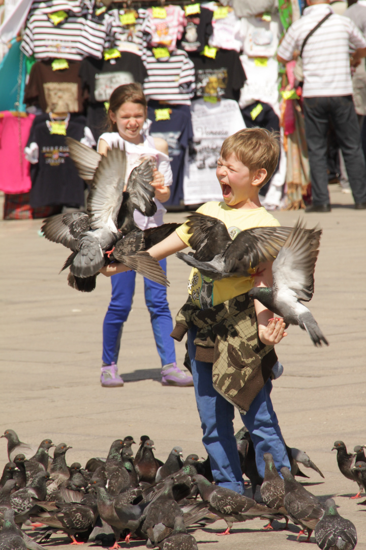 Auf dem Markusplatz