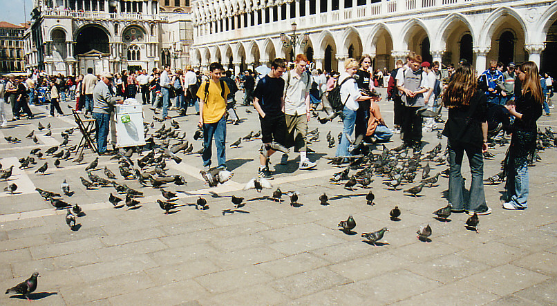 Auf dem Markusplatz in Venedig