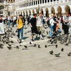 Auf dem Markusplatz in Venedig