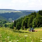 Auf dem "Masserberger Höhenweg" …