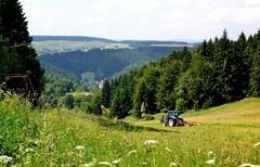 Auf dem "Masserberger Höhenweg" …