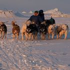 auf dem Meereis mit Polarjäger