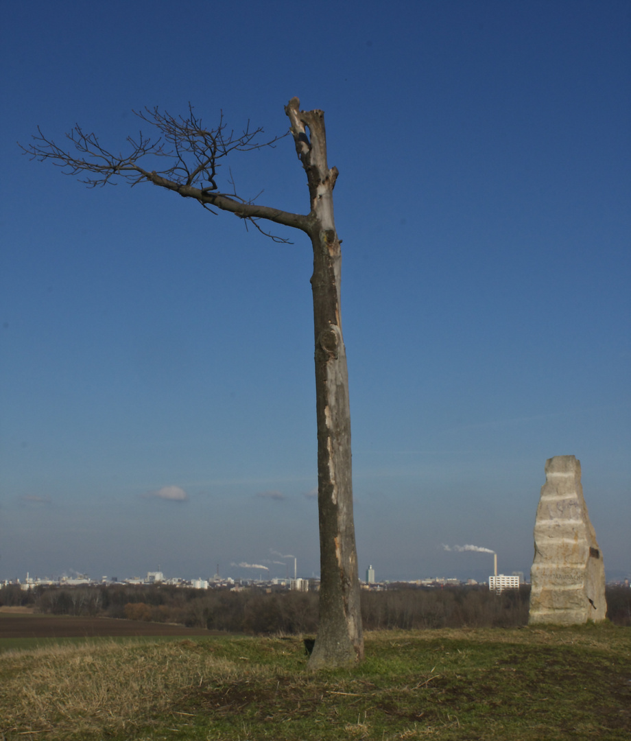 Auf dem Michaelsberg