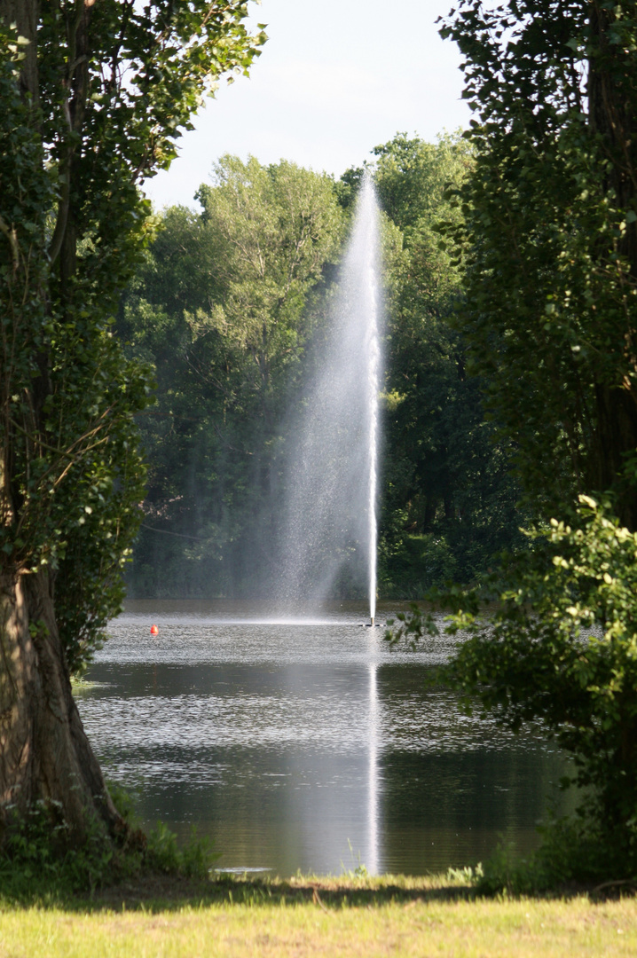 Auf dem Mittagsee Magdeburg