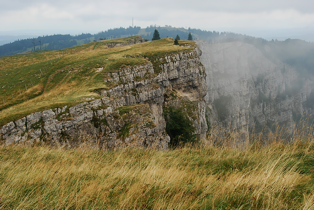 Auf dem Mont d'Or