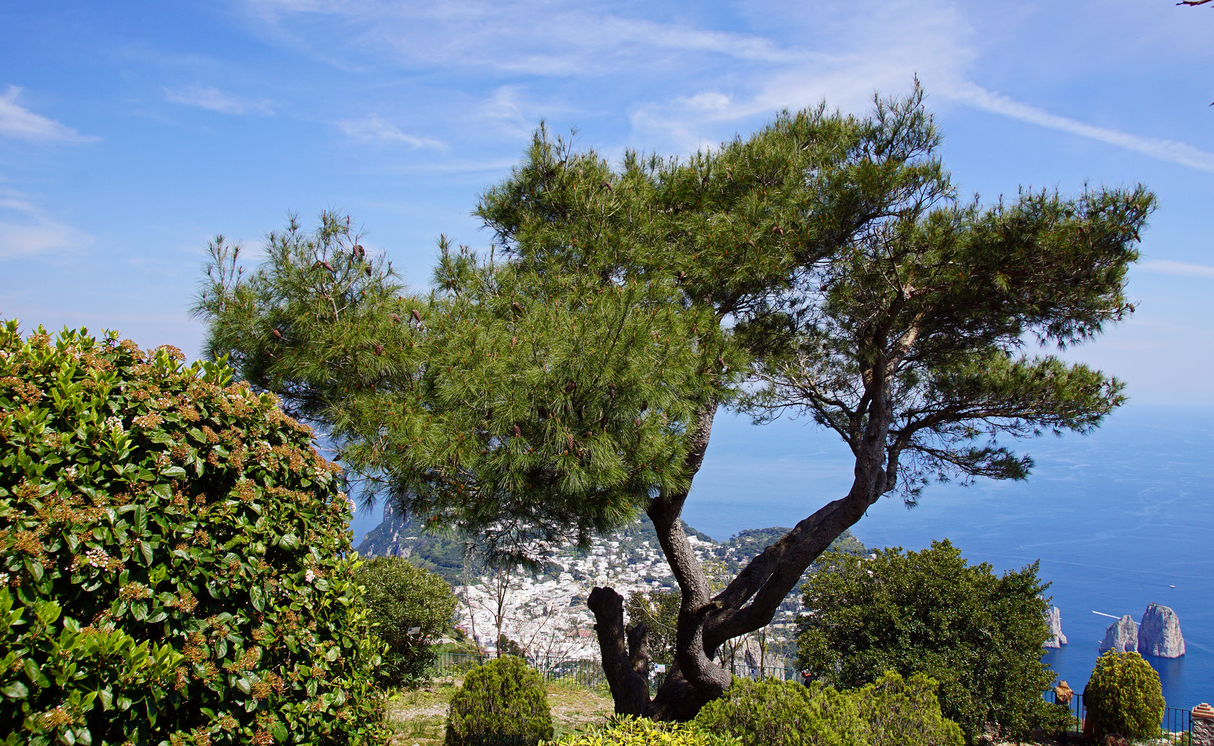 Auf dem Monte Solero 3