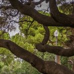 auf dem Montjuic I - Barcelona