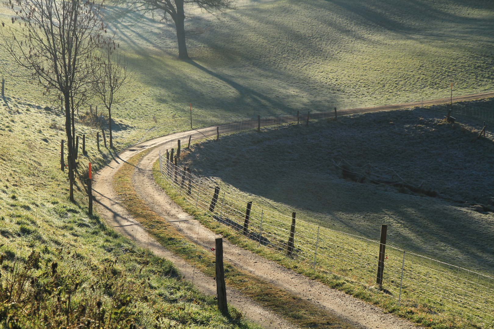 auf dem Morgenspaziergang