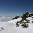 Auf dem Moro Rock