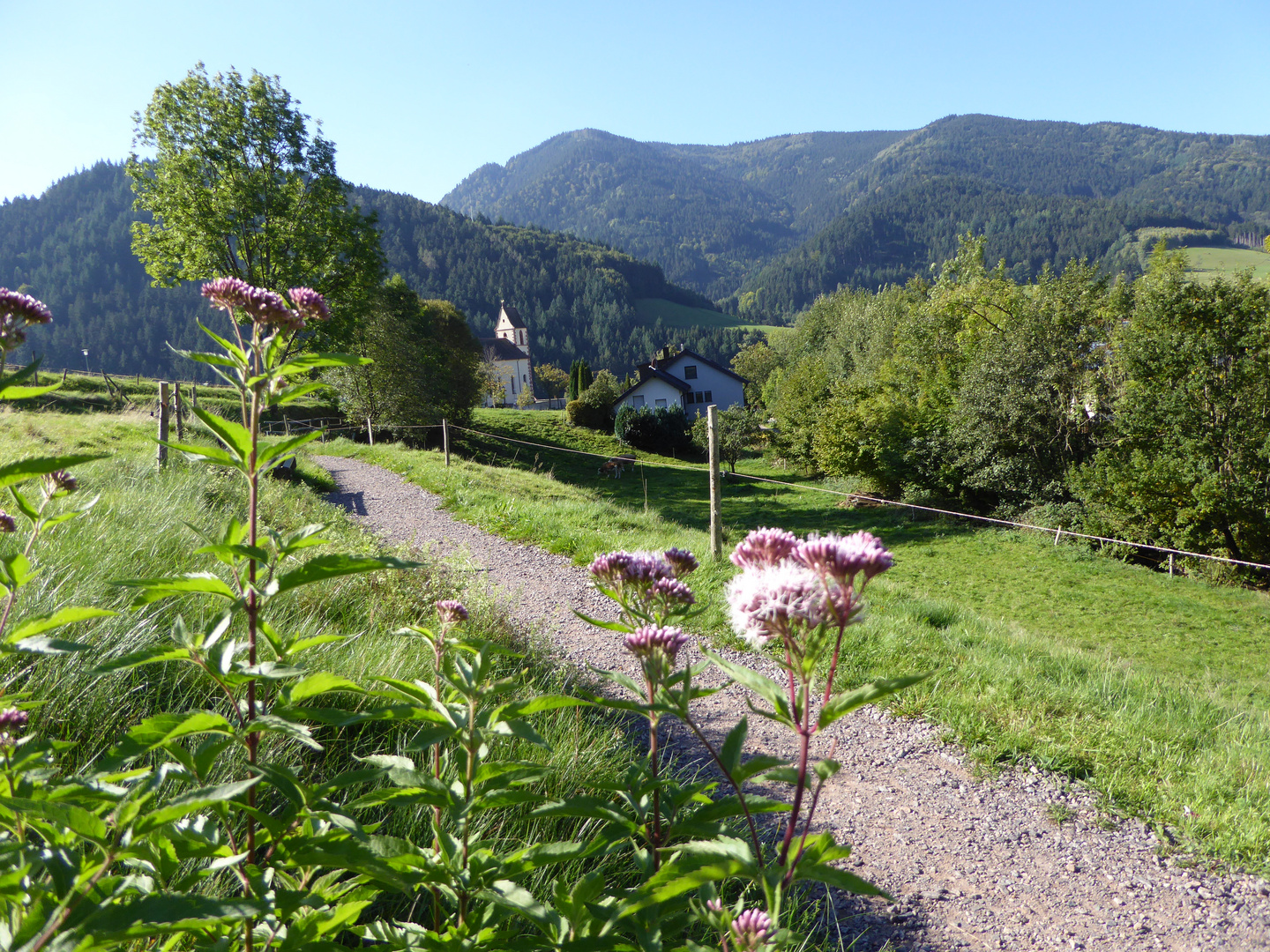 auf dem Mühlenrundweg in Simonswald