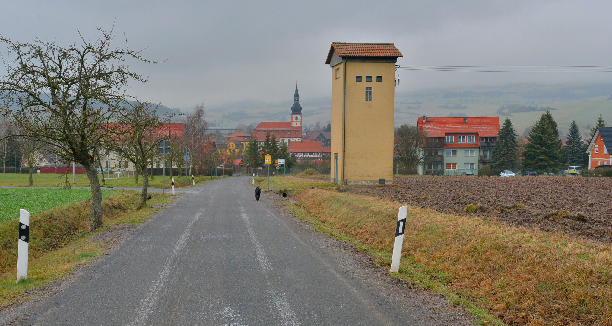 Auf dem Nach-Hause-Weg (en camino a caa)