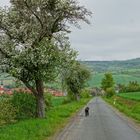 Auf dem Nach-Hause-Weg (en camino a casa)