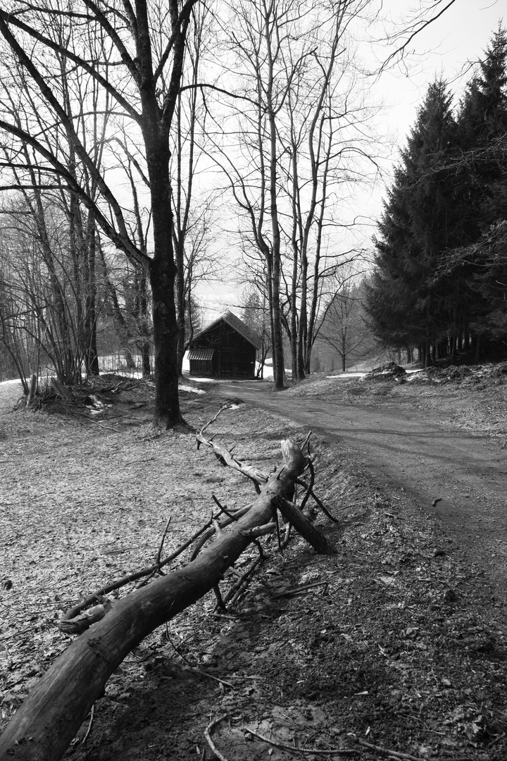 Auf dem Nachhauseweg ins Tal.