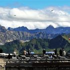 Auf dem Nebelhorn