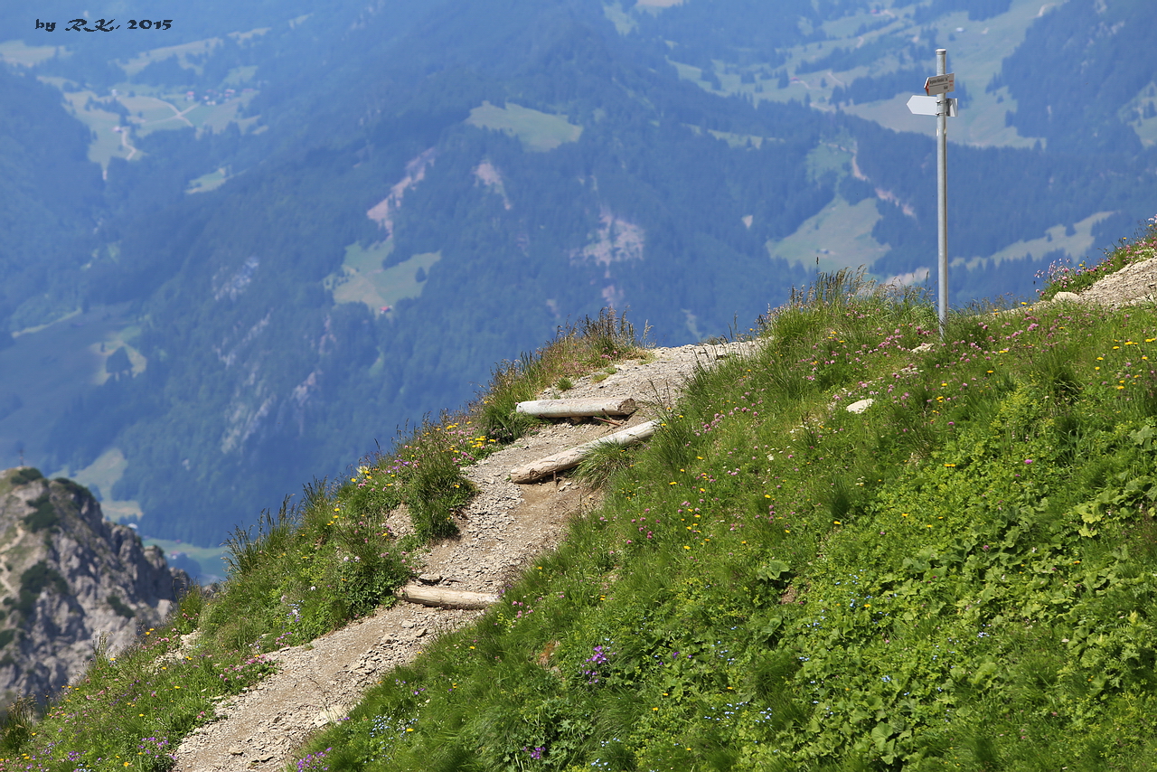 Auf dem Nebelhorn