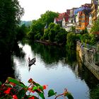 Auf dem Neckar