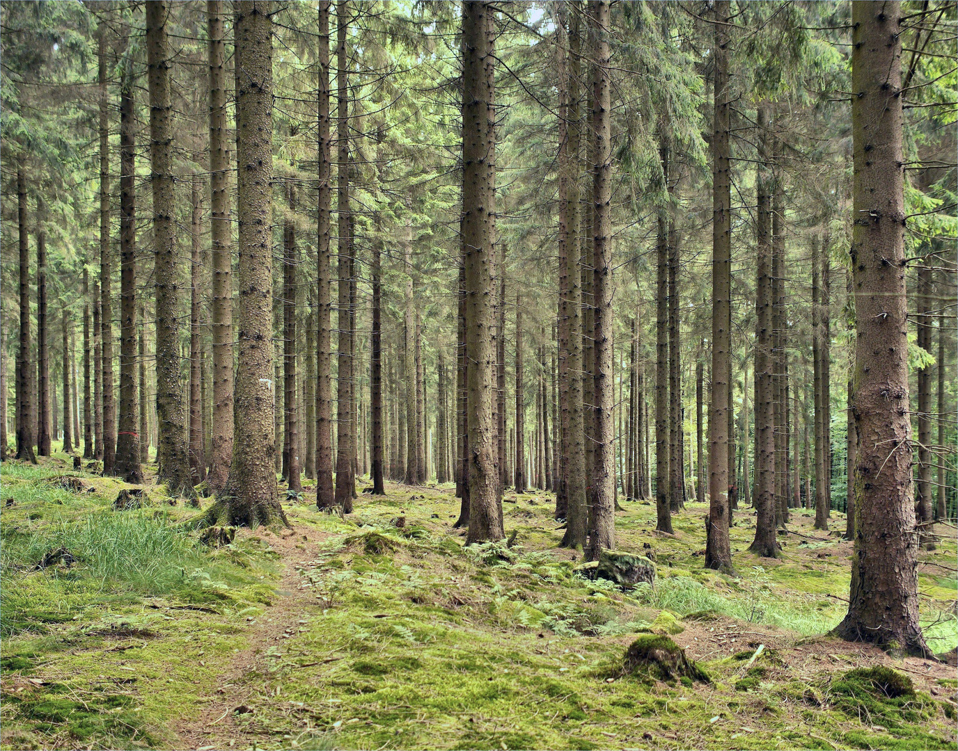 auf dem nesselberg