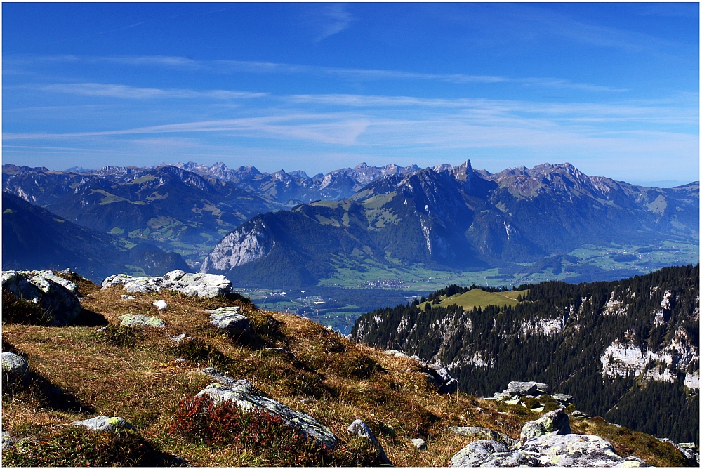 Auf dem Niederhorn - Berner Oberland