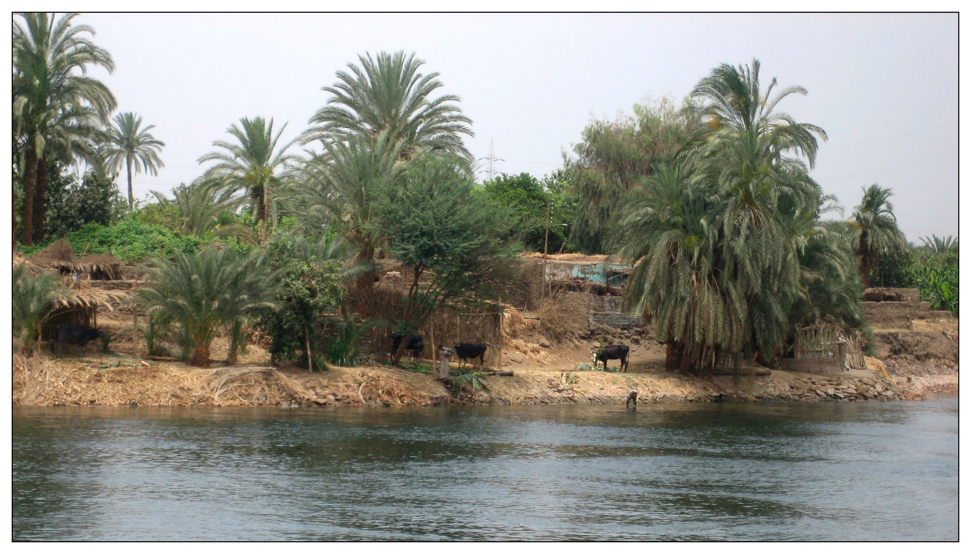 auf dem Nil I
