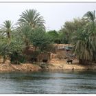 auf dem Nil I