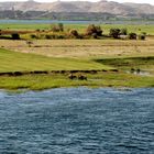 Auf dem Nil Richtung Assuan