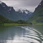 Auf dem Nærøyfjord