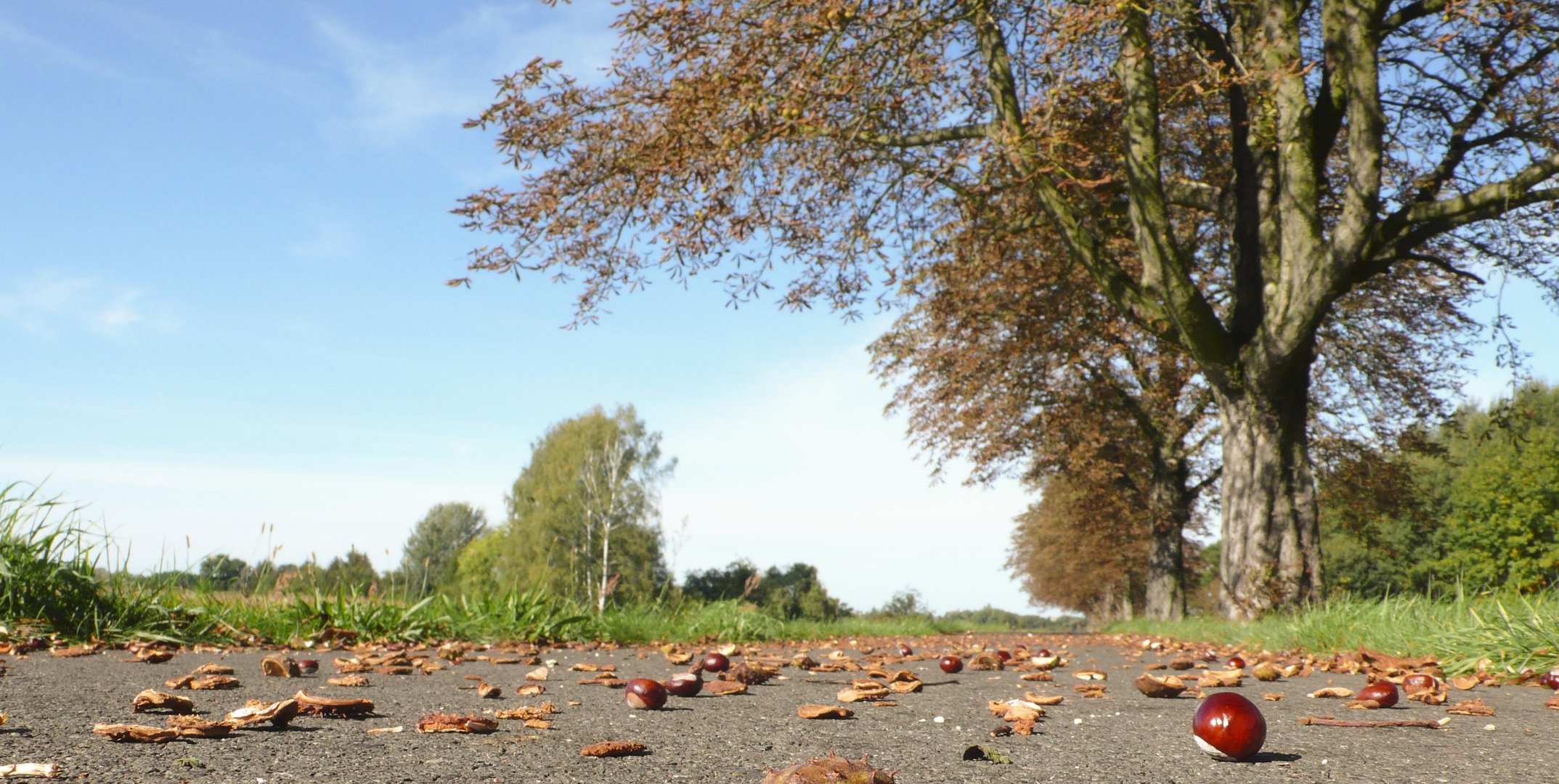 Auf dem Ober-Neiße-Radweg