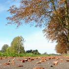 Auf dem Ober-Neiße-Radweg