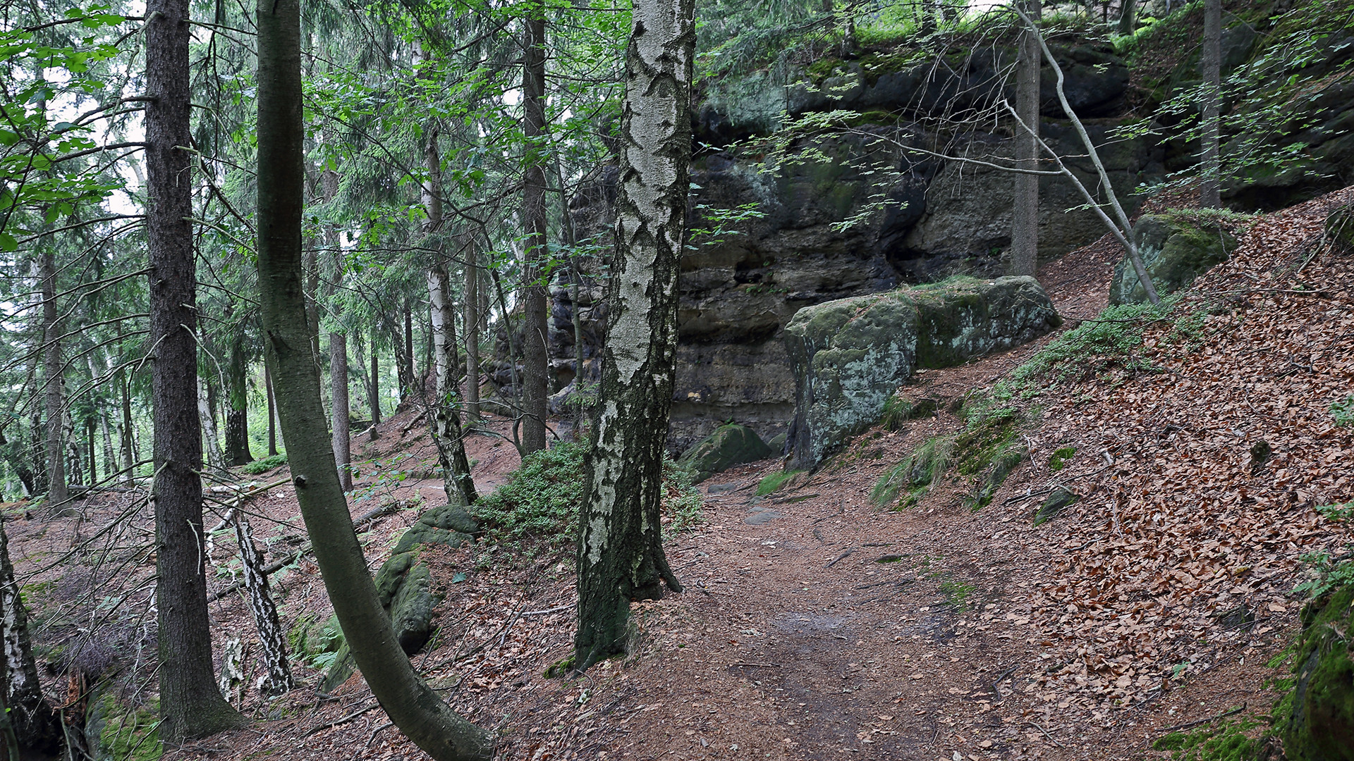 Auf dem oberen Affensteinweg angekommen...