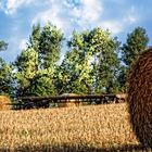 Auf dem Oberen Angerberg in Kreuzebra 