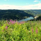 Auf dem Olavsweg durch das Gudbrandsdalen