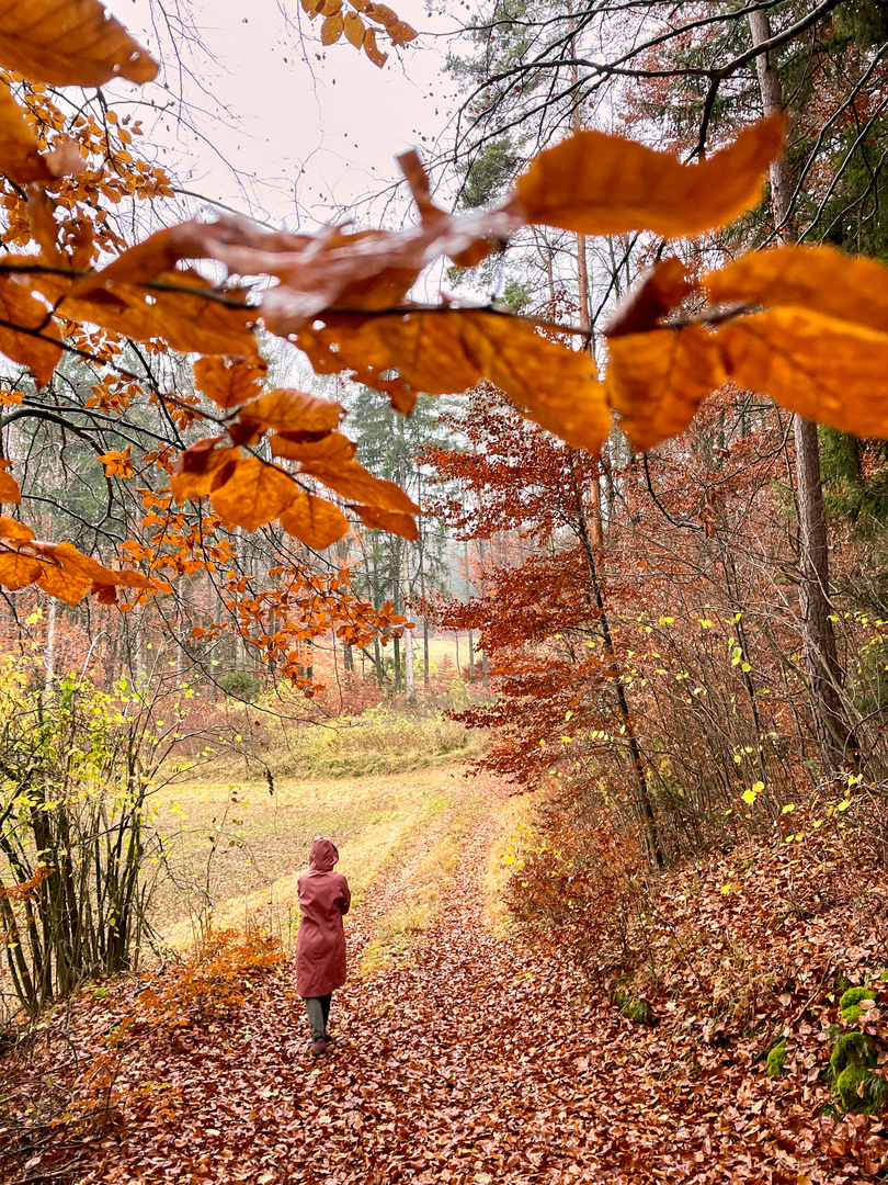 Auf dem Orchideenrundweg