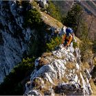 Auf dem Ostgrat zum Traunstein- Gipfel  (1691m)