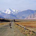 Auf dem Pamir Highway, Tadschikistan