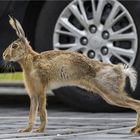 Auf dem Parkplatz..