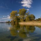 auf dem Parsteinsee