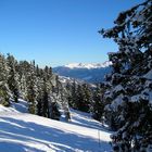 Auf dem Penken in Mayrhofen