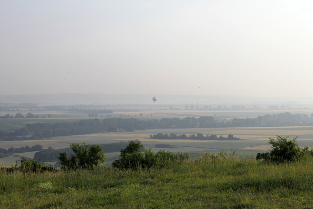 Auf dem Petersberg