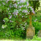 Auf dem Pilgerfriedhof