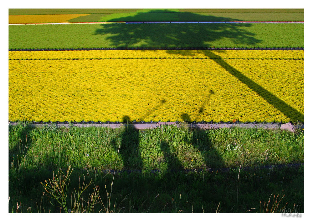 Auf dem Pilgerweg